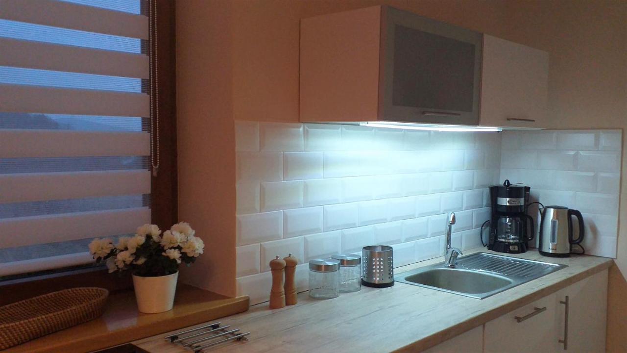 פיצ'ובויצה Przytulne Studio Borowkowy Zagajnik מראה חיצוני תמונה