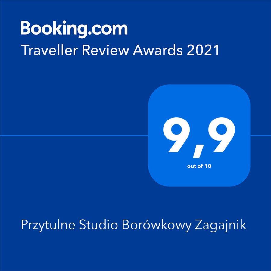 פיצ'ובויצה Przytulne Studio Borowkowy Zagajnik מראה חיצוני תמונה