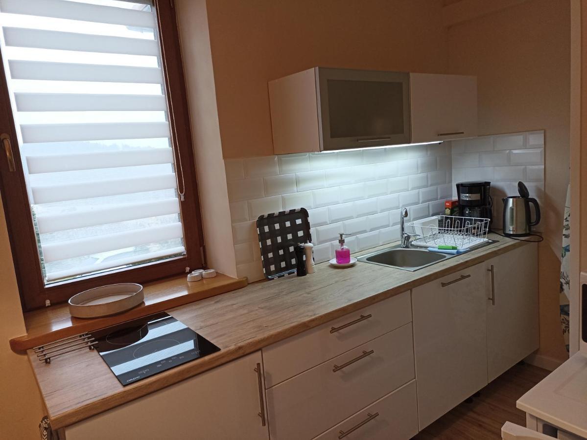פיצ'ובויצה Przytulne Studio Borowkowy Zagajnik מראה חיצוני תמונה