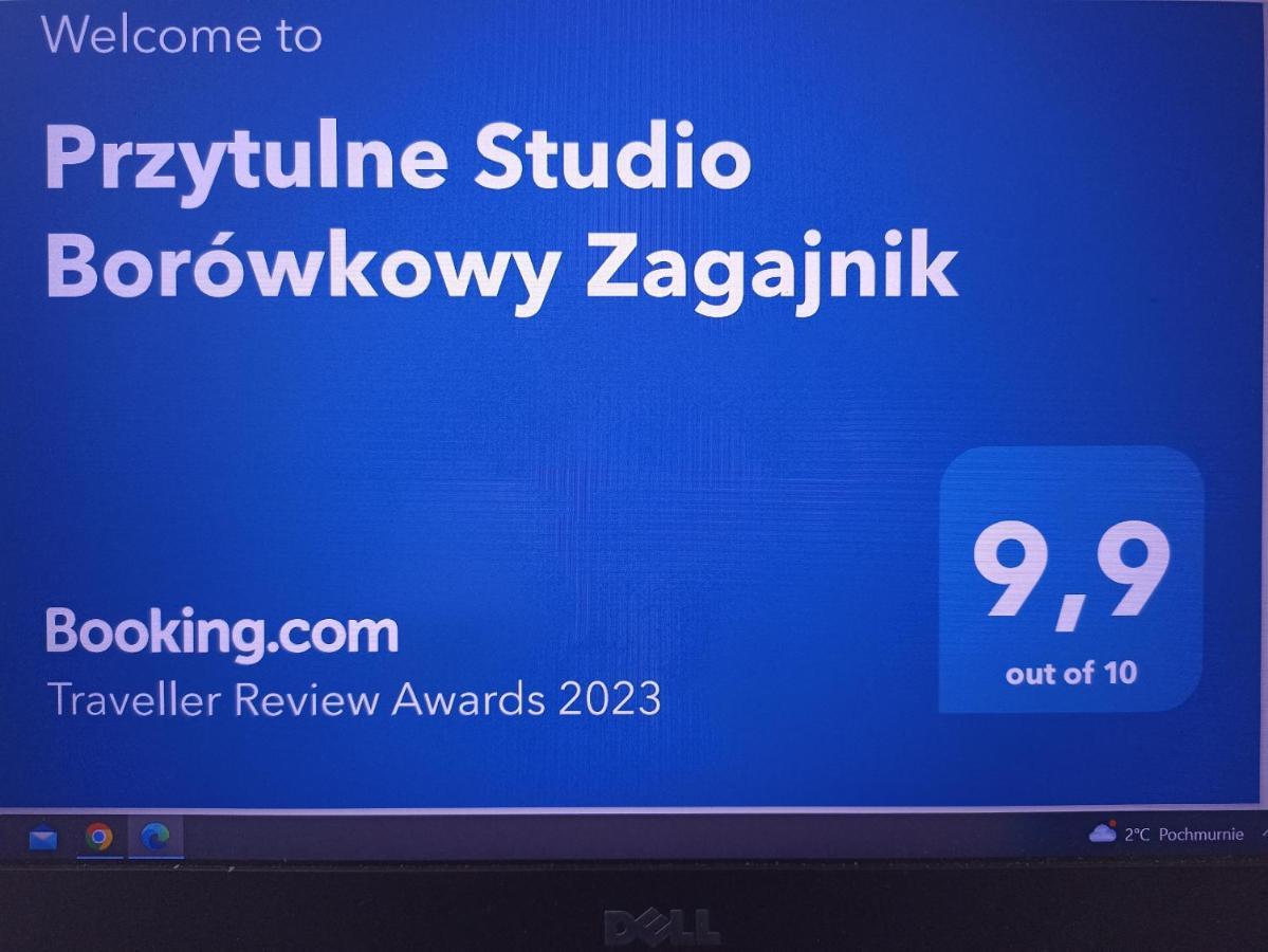 פיצ'ובויצה Przytulne Studio Borowkowy Zagajnik מראה חיצוני תמונה