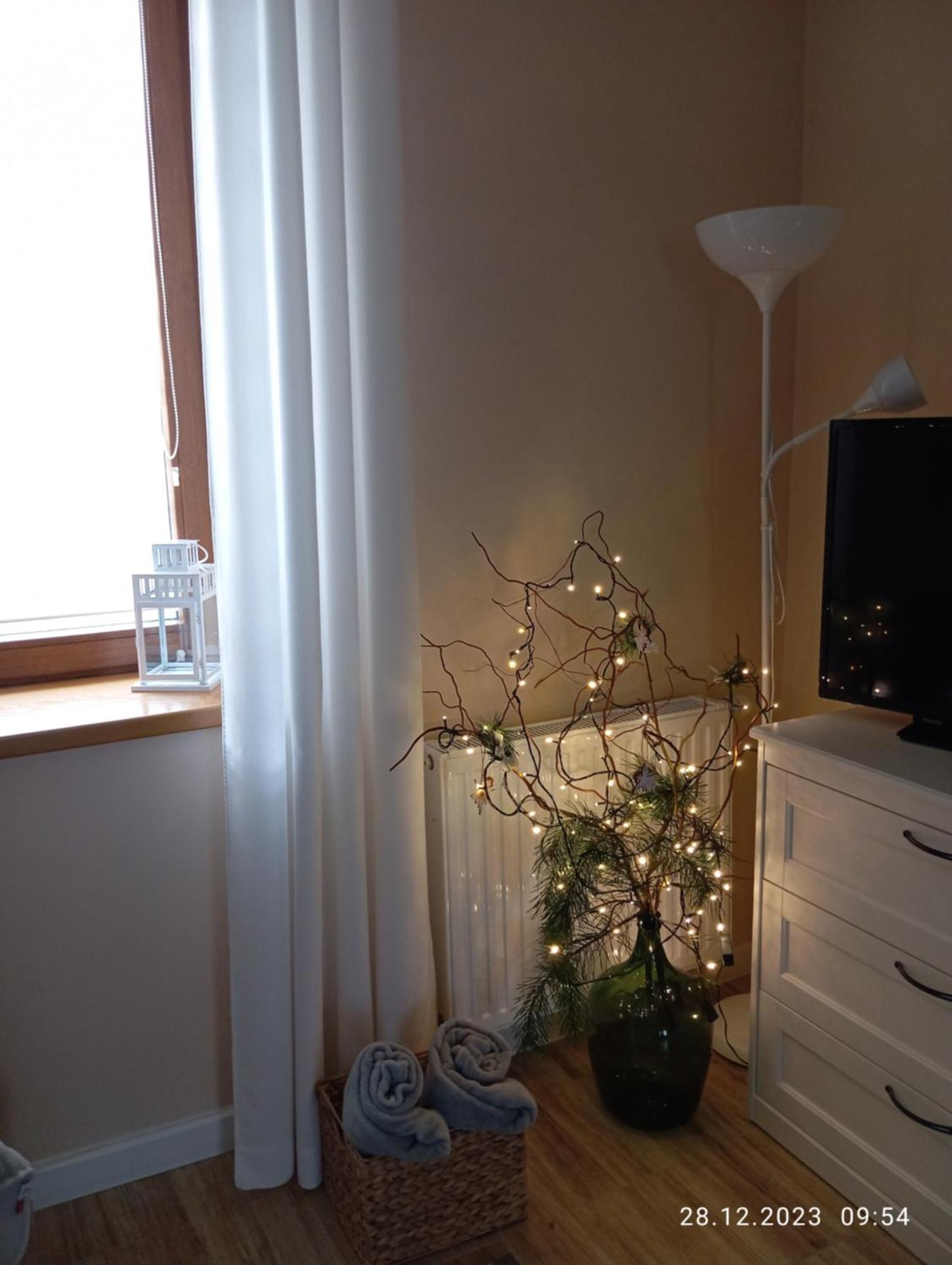 פיצ'ובויצה Przytulne Studio Borowkowy Zagajnik מראה חיצוני תמונה